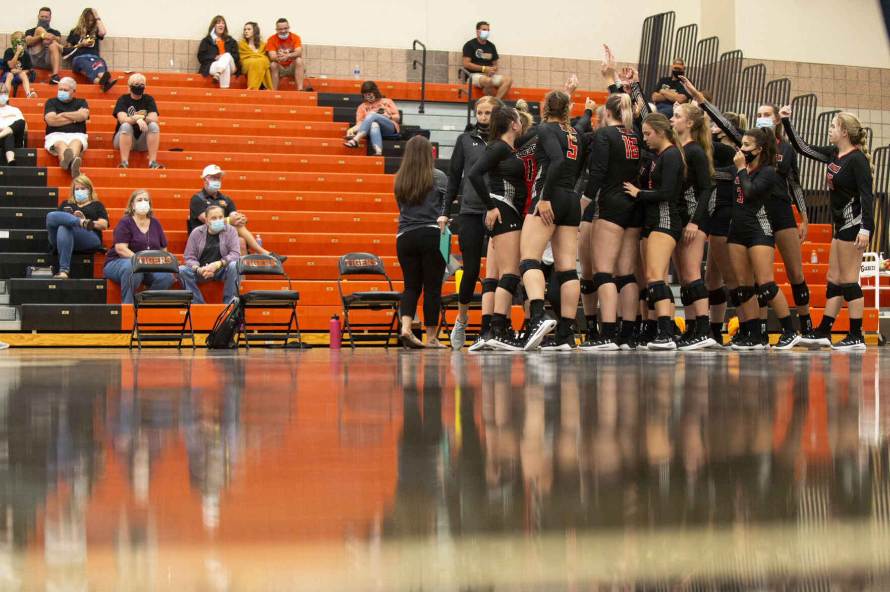 Doane Triangular, 9.5